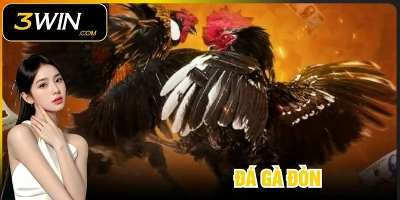 Khái niệm và nét đặc trưng của đá gà đòn